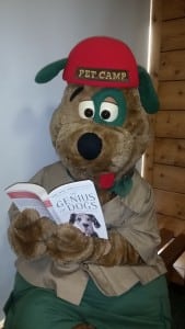 Campy Reading