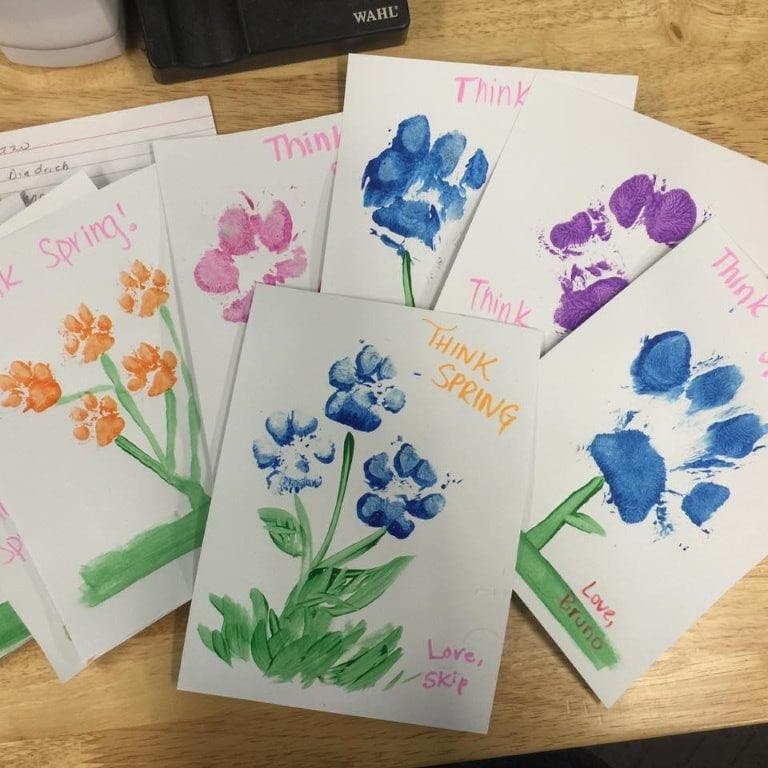 cards of dog paw flowers