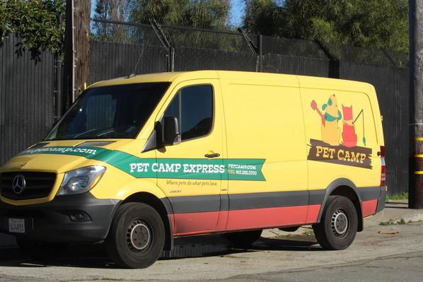 pet camp express