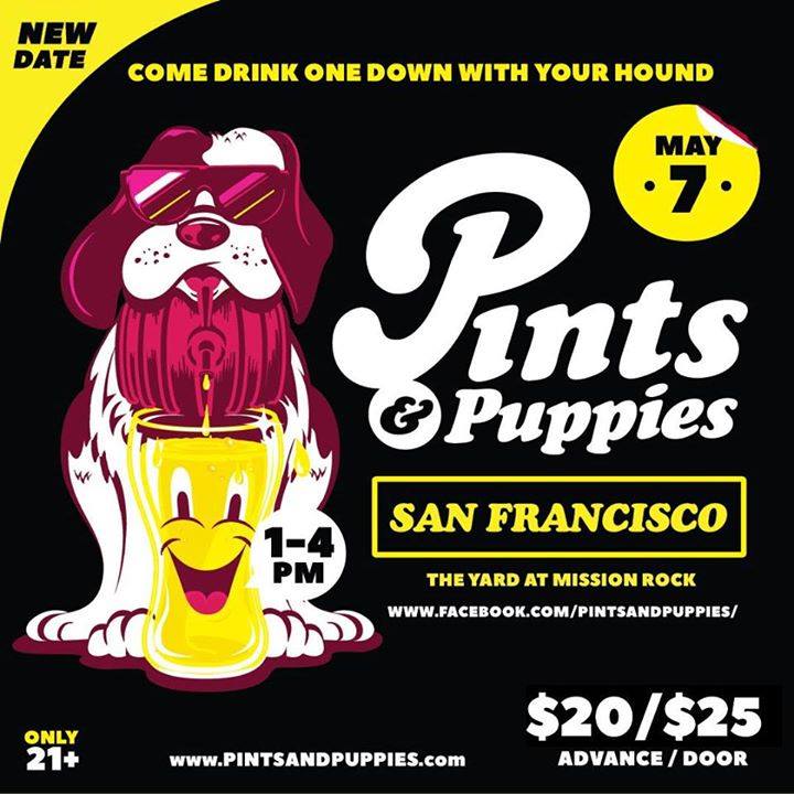 come drink one down with your hound: pints & puppies