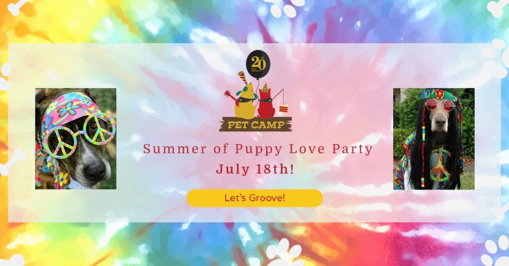 pet camp summer of puppy love party
