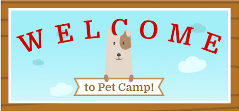 welcome to pet camp