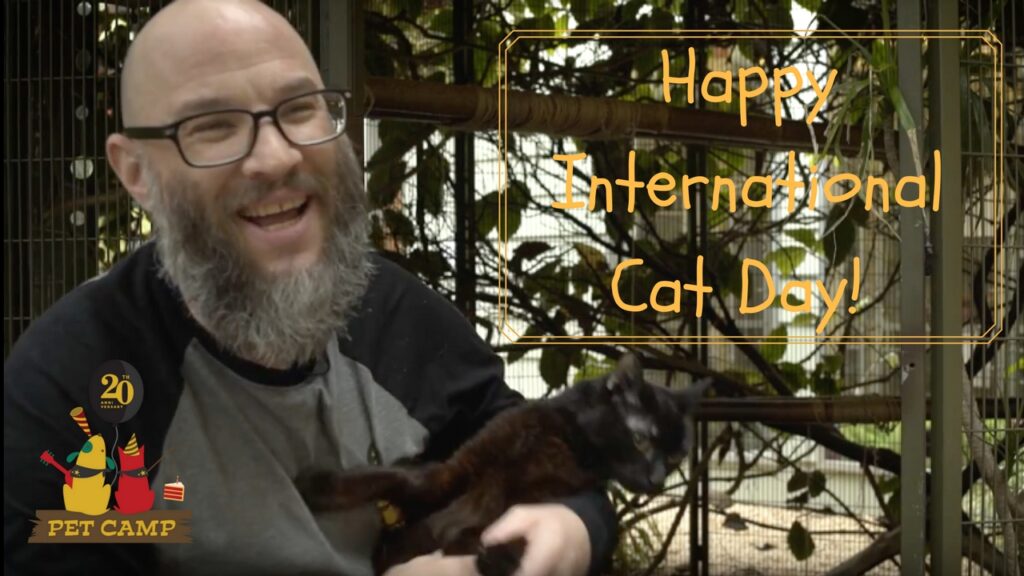 happy international cat day!