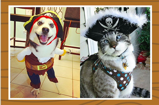dog and cat in costumes
