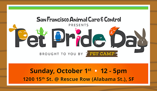 san francisco animal care & control :: pet pride day brought to you by pet camp