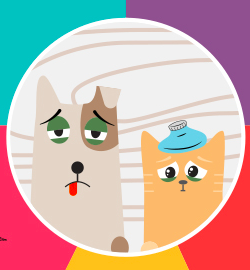 sad dog and cat