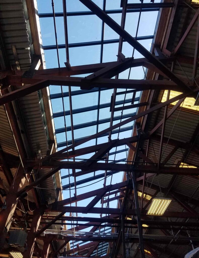 pet camp glass roof