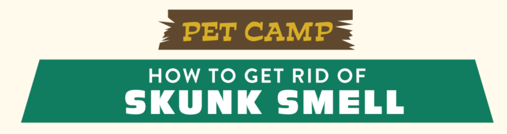 pet camp how to get rid of skunk smell