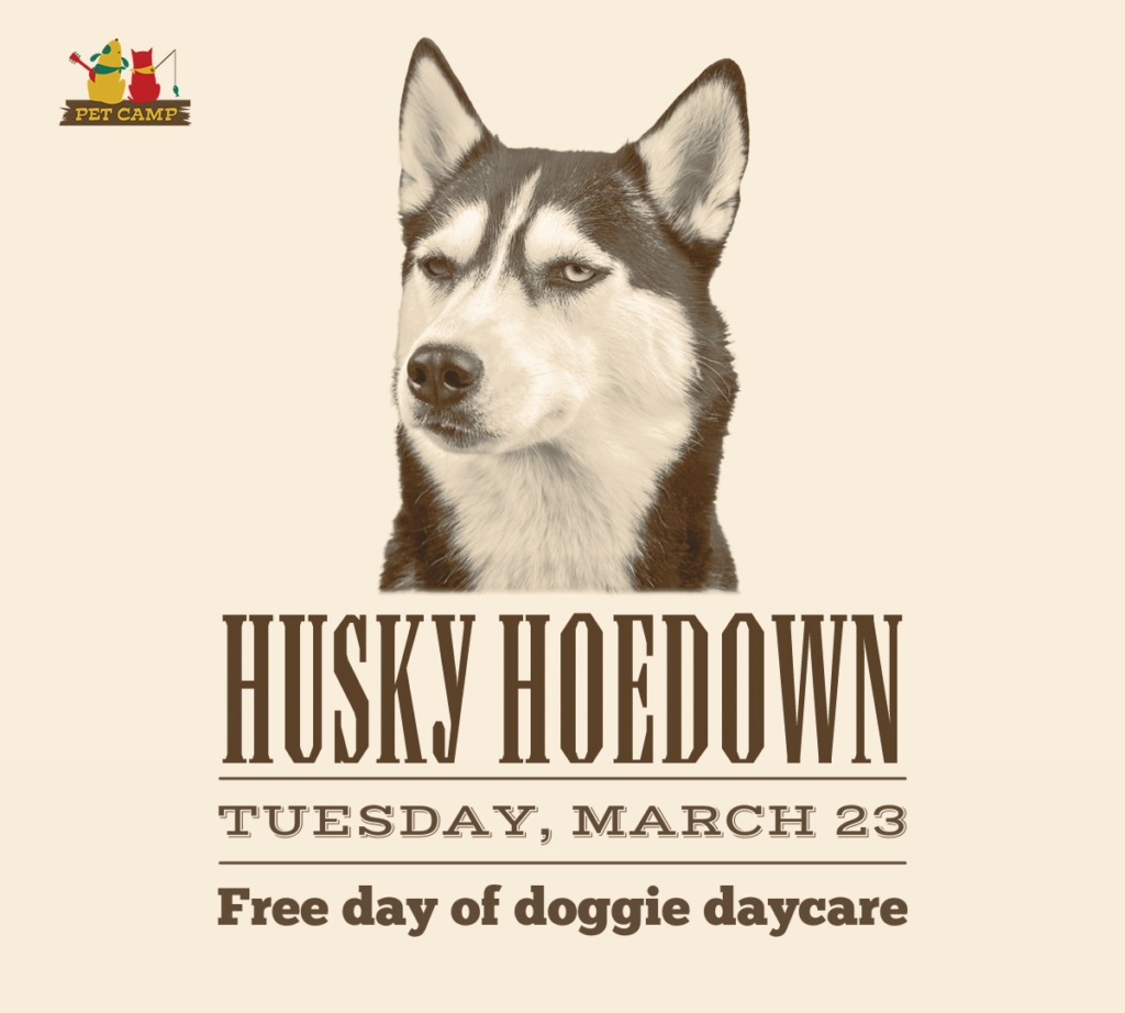 pet camp husky hoedown