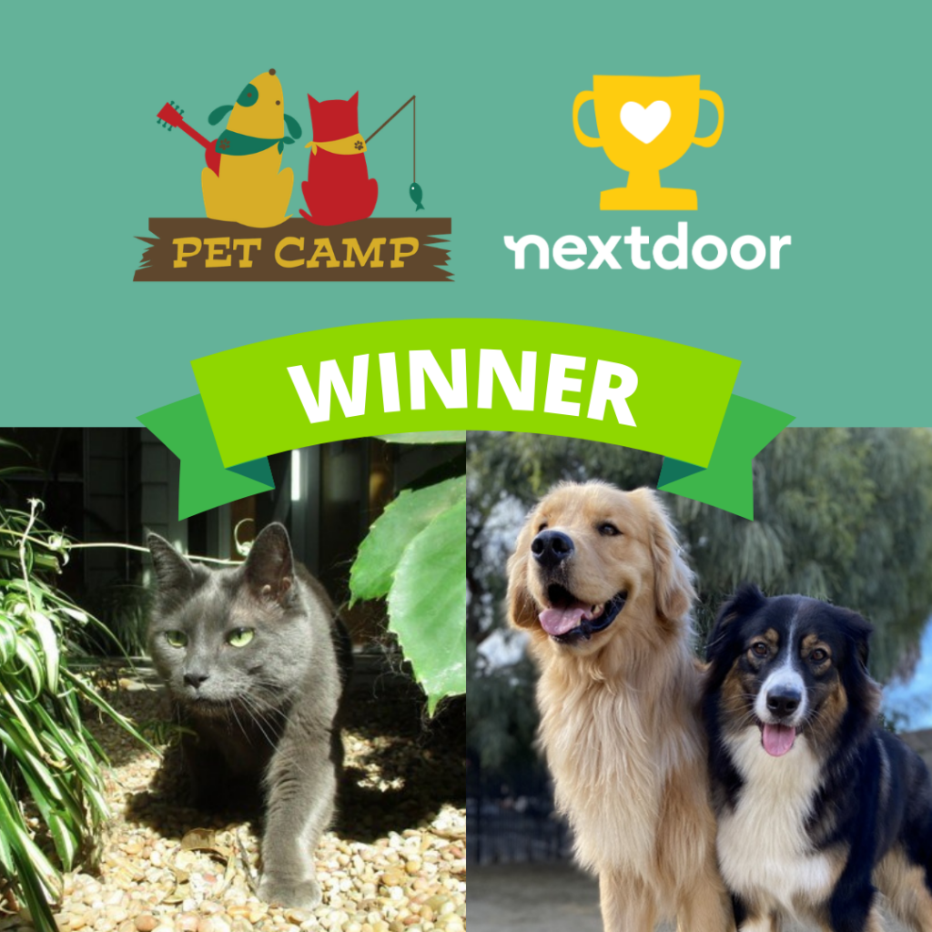 nextdoor winner dogs and cats