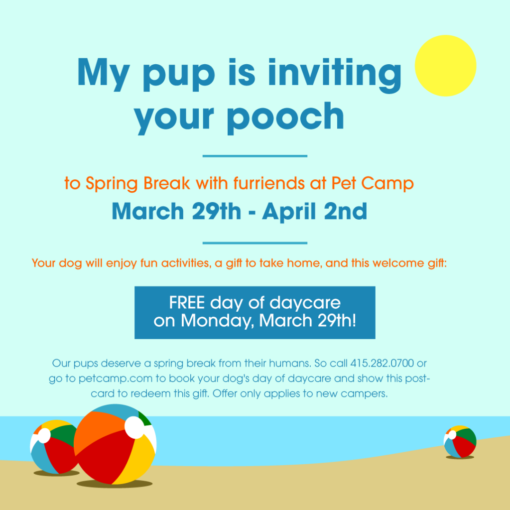 my pup is inviting your pooch to spring break with furriends at pet camp