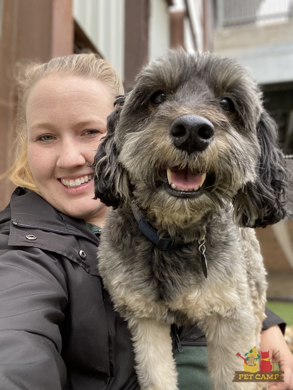 happy dog smiling