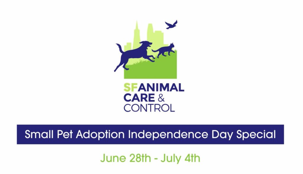 small pet adoption independence day special