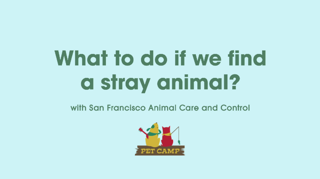 what to do if we find a stray animal? with San Francisco Animal Care and Control