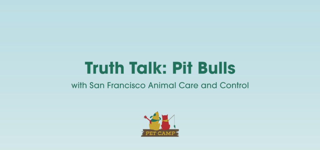 truth talk: pit bulls w/San Francisco Animal Care and Control