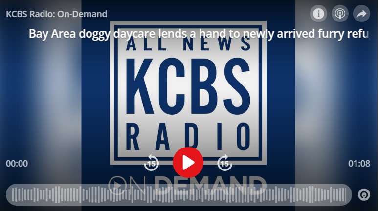 All New KCBS Ratio