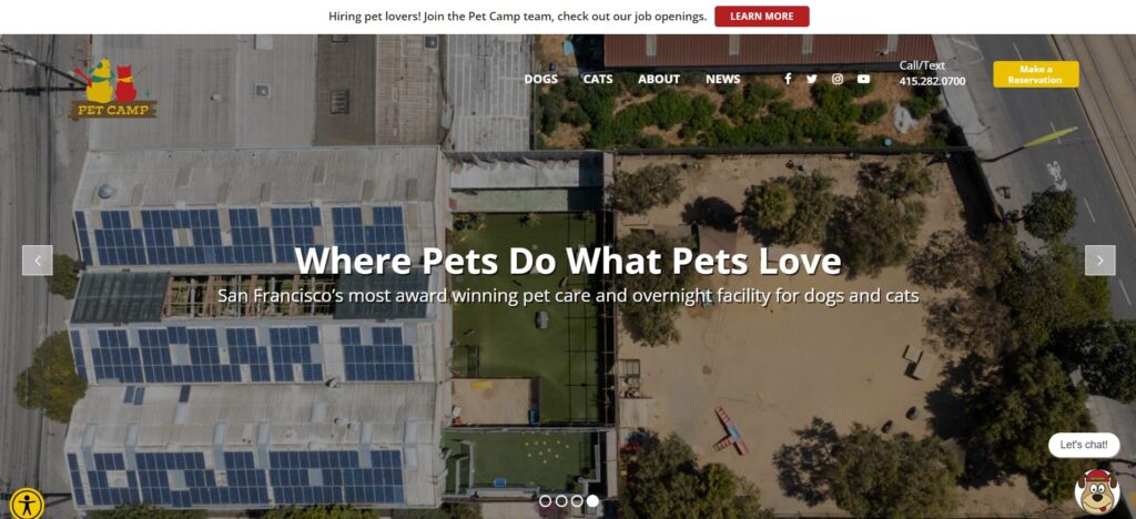 new pet camp website