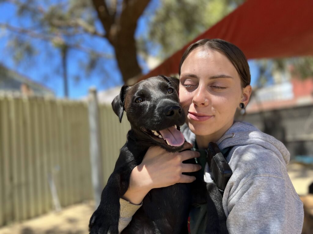 pet camp counselor holding a pooch