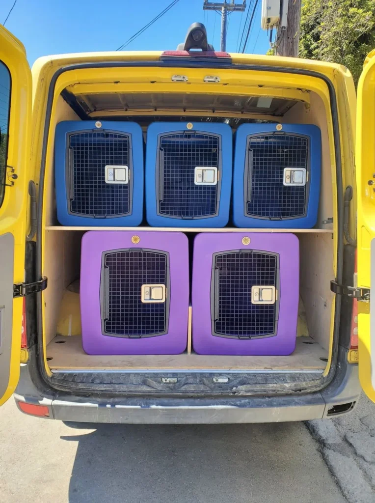 crates in the Pet Camp Pet Camp Express van