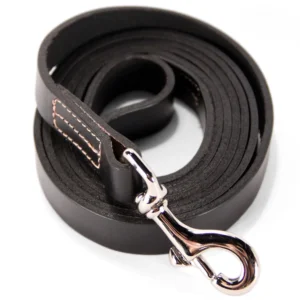 6' leather leash