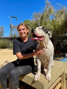 Stevie Hoodia at Pet Camp in San Francisco