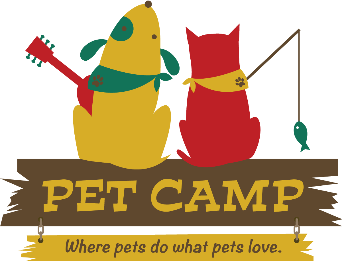 APETCAMP_color