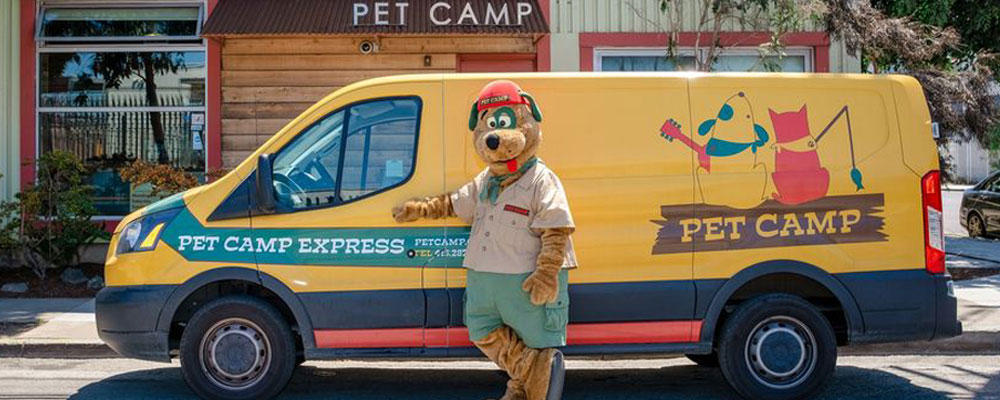 Campy with the Pet Camp Express van