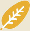 leaf icon