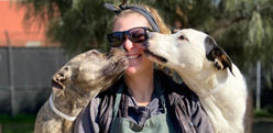 Staff with dogs in boarding