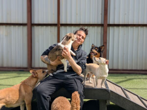 Puppy giving kisses to staff