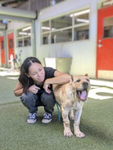puppy with team member in daycare