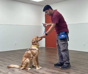 pet camp k9 enrichment counselor holding a treat to a dog's nose to teach it to sit